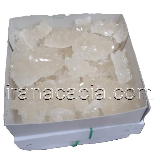 نبات پرده ممتاز بدون نرمه سفید